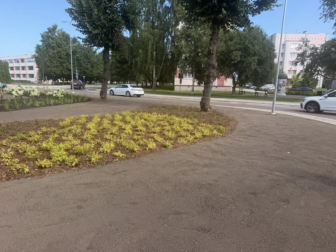 Sarkanmuižas dambja rotācijas aplis